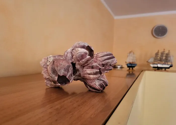 Apartamento The Shell Bordighera