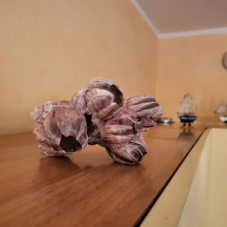 Апартаменты The Shell Бордигера