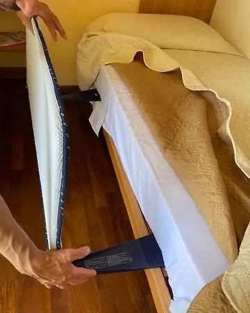 Apartament The Shell *