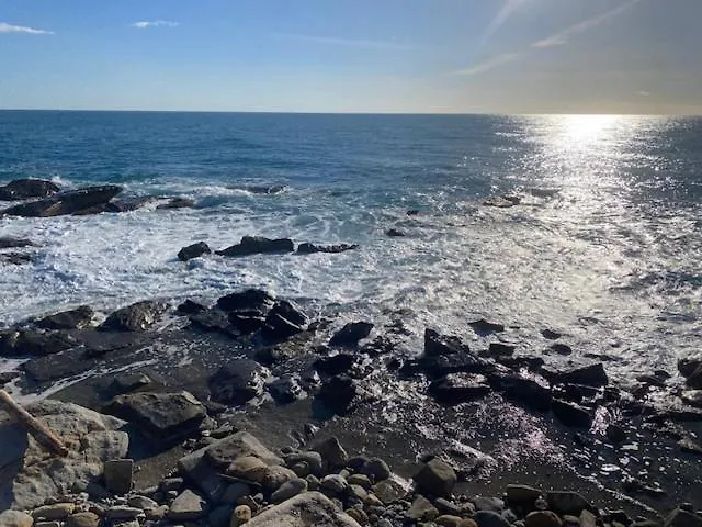 The Shell Appartement